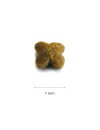 Croquettes chien petite Race sans céréales Now