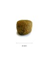 Croquettes sans céréales Now chien dimensions