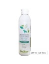 Shampooing pelages clairs fleur de bleuet chien
