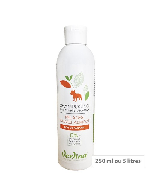 Shampooing pelages fauves abricot chien