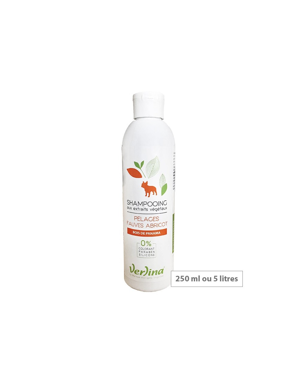 Shampooing pelages fauves abricot chien