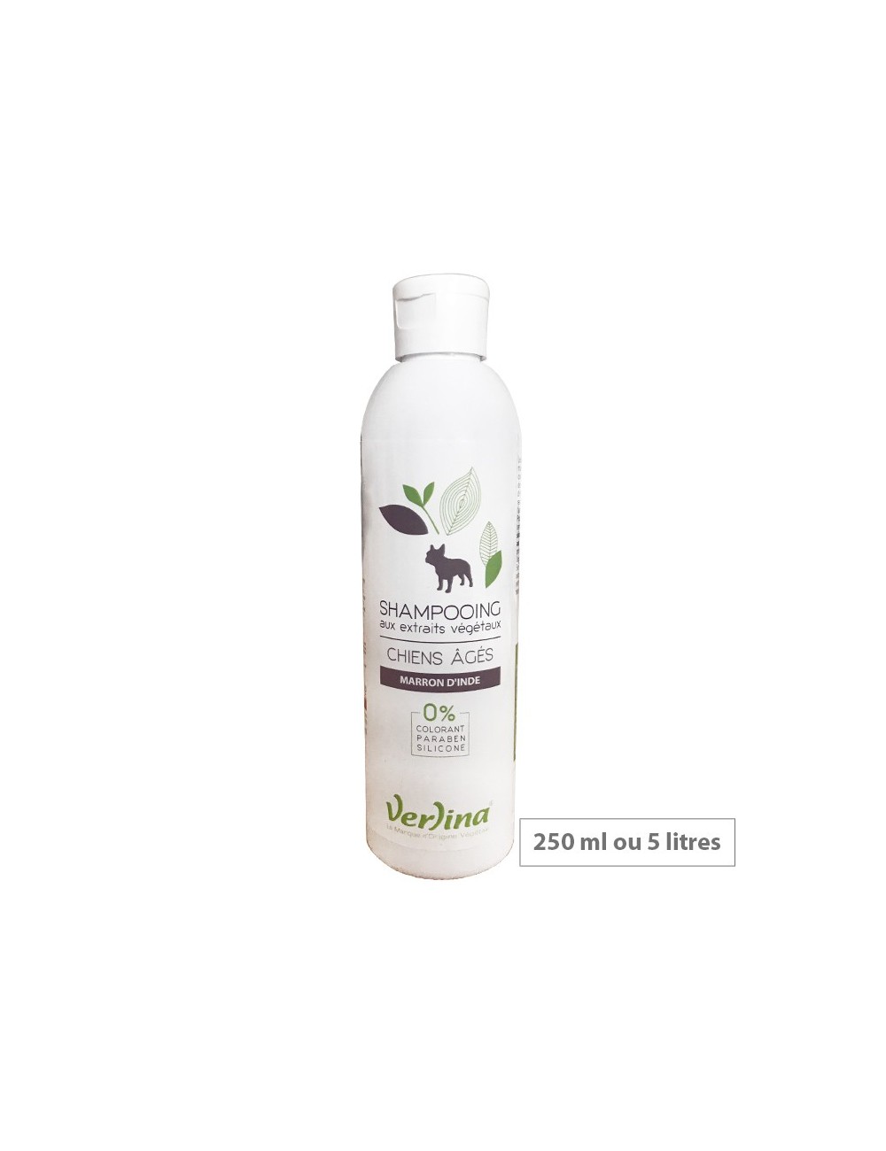 Shampooing chiens âgés