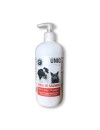 Huile de saumon pour chien et chat