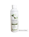 Shampooing poils abîmés et peaux fragiles chien