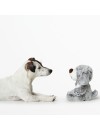 Jouet chien Faro chien HUNTER