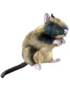 Jouet chien Wildlife Rat HUNTER