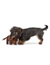 Jouet chien Tough Kamerun Bison HUNTER