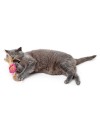 Jouet chat Moa balle double HUNTER