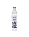 Herbe à chat - spray - éducation