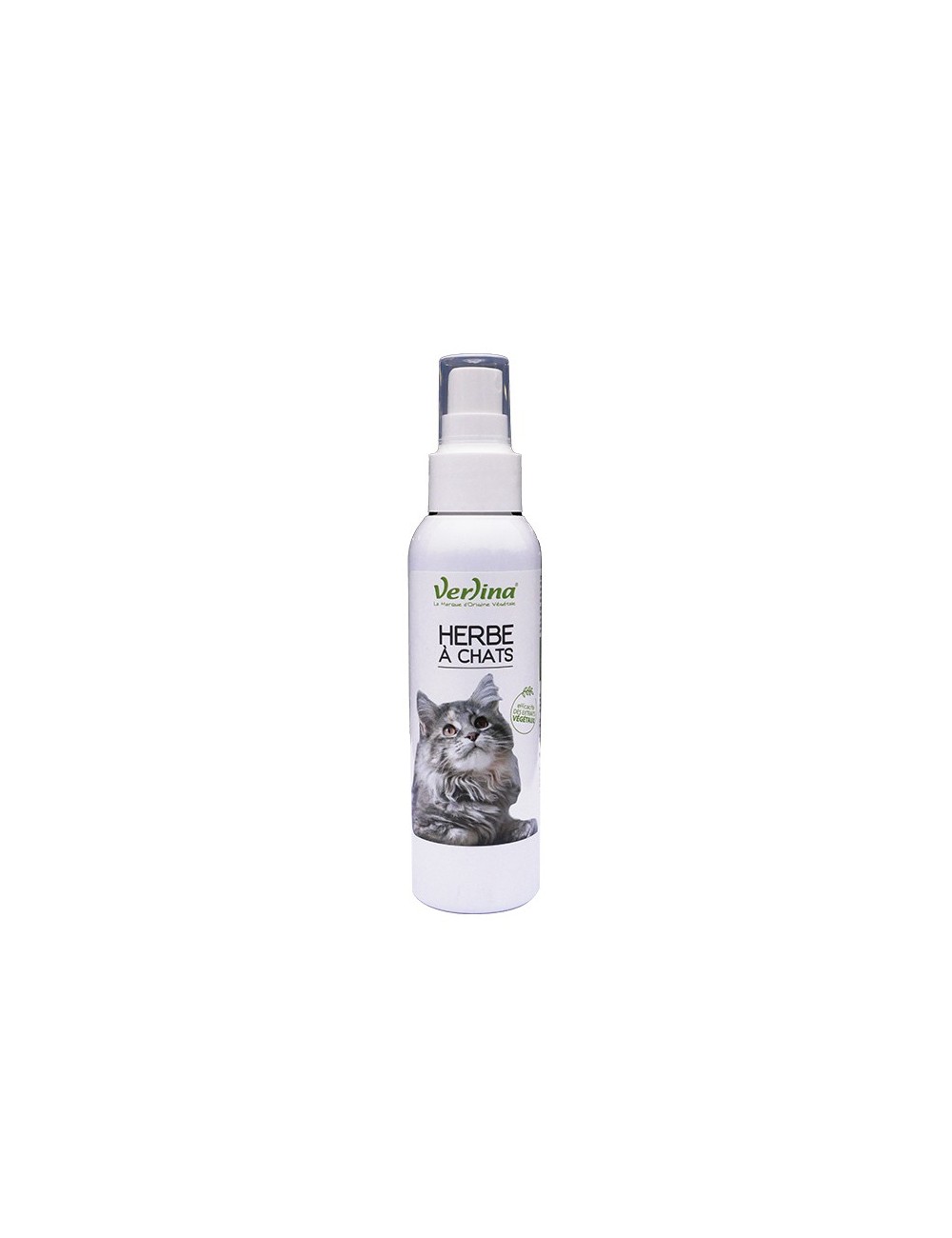 Herbe à chat - spray - éducation