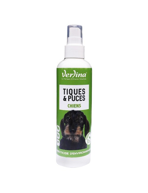 Tiques et Puces Environnement petit chien