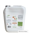 Shampooing pelages fauves abricot chien