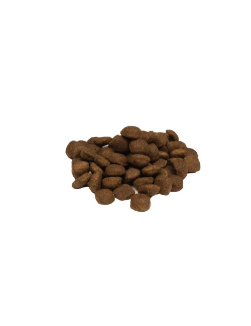 Weego - Croquettes sans céréales pour chien sénior à la dinde