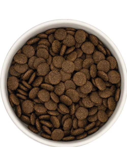 UNIQ Dog - Croquettes sans céréales pour chien adulte au bœuf Angus