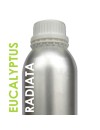 Eucalyptus Radiata Huile essentielle 1 Litre Ecocertifiable