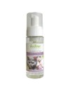 Shampoing Naturel Sec - Mousse - Volume Brillance