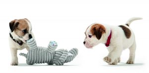 Jouets pour animaux - chiens-jouet-chiots-hunter-peluche-doudou