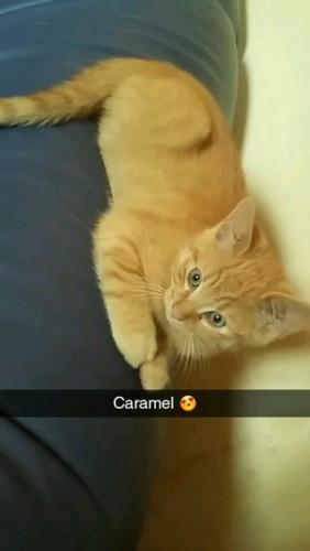 Caramel