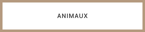 Animaux