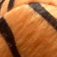 Tigre + Girafe